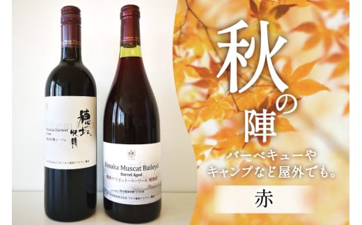 ワイン 赤 おまかせ マルスワイン2本セット ～秋の陣～ [本坊酒造 マルス穂坂ワイナリー 山梨県 韮崎市 20743115] 赤ワイン 秋のワイン 熟成 ルージュ シャトーマルス