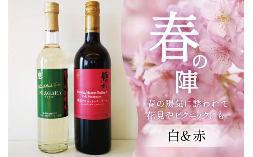 ワイン 赤 白 おまかせ マルスワイン2本セット ～春の陣～ [本坊酒造 マルス穂坂ワイナリー 山梨県 韮崎市 20743117] 赤ワイン 白ワイン 辛口 春のワイン シャトーマルス