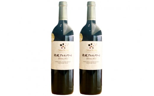 赤ワイン 穂坂アルモノワール 750ml×2本 ワイナリー限定品 [シャトー・メルシャン 勝沼ワイナリー 山梨県 韮崎市 20743130]