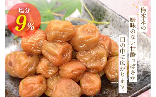 【箸が止まらない】はちみつ風味 干し小梅 200g×3 [山梨農産食品 山梨県 韮崎市 20743184] 梅干し 梅干 うめぼし 梅 小粒 小梅 国産 はちみつ