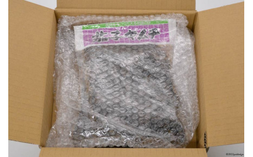 【ピリ辛】茄子キムチ 550g×2 計1.1kg [山梨農産食品 山梨県 韮崎市 20743187] キムチ ナス 茄子 おかず おつまみ