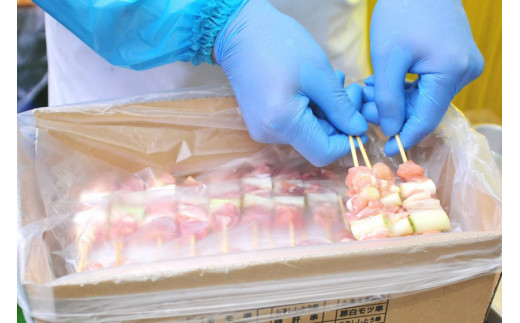 焼き鳥 焼鳥たれ付き10種3本(30本セット) [山本食肉 山梨県 韮崎市 20743347] やきとり 焼鳥 セット 鶏肉 冷凍 小分け 食べ比べ バーベキュー BBQ 惣菜 串 おかず おつまみ 国産 ねぎま もも つくね 砂肝