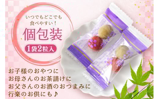 【やばいだろ】粋な小梅 30粒×15 計450粒 [山梨農産食品 山梨県 韮崎市 20743417] 梅干し 梅干 うめぼし 梅 小粒 小梅 カリカリ梅 国産 個包装