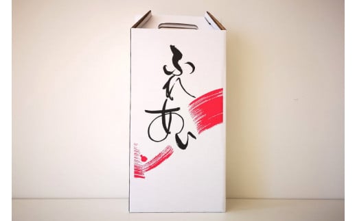 マルスワインシルバー 赤 ミディアムボディ 一升瓶 1.8L×２ [本坊酒造 マルス穂坂ワイナリー 山梨県 韮崎市 20743450] ワイン 赤ワイン ワインセット