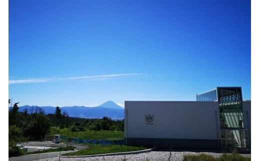 マルスワインシルバー 赤 白 2本セット 各1.8L×1 計2本 一升瓶ワイン ミディアムボディ ＆ 中口 [本坊酒造 マルス穂坂ワイナリー 山梨県 韮崎市 20743452] ワイン 赤ワイン 白ワイン ワインセット 赤白