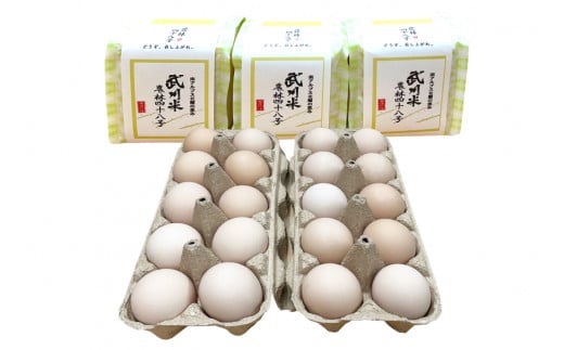 こだわりの 卵かけご飯 セット 穂坂のももたま 10個×2 & 武川米 450g×3 [ハイチック 山梨県 韮崎市 20743457] たまご 卵 ご飯 米 たまごかけご飯
