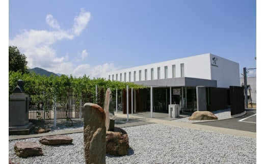 定期便 スパークリングワイン ロゼ 「日本のあわ」720ml×3回 [シャトー・メルシャン 勝沼ワイナリー 山梨県 韮崎市 20743478] ワイン 酒 お酒