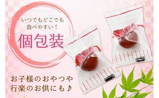 梅干し 梅恋しポット 30個入 [山梨農産食品 山梨県 韮崎市 20743520] 梅干 うめぼし 個包装 梅 漬物 つけもの おやつ おつまみ 熱中症予防