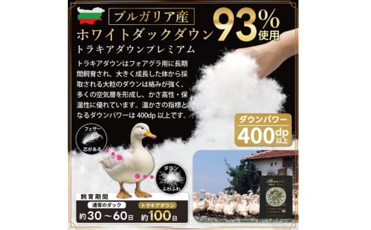 洗える 2枚合わせ 羽毛布団【 シングル 】 (グレー) 抗菌防臭 ブルガリア産 ホワイト ダック93％ [川村羽毛 山梨県 韮崎市 20743602] 布団 羽毛 肌掛け 合掛け オールシーズン 夏用 冬用 コインランドリー対応