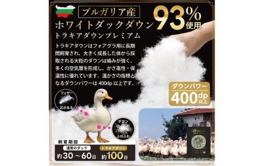 洗える 2枚合わせ 羽毛布団 【 セミダブル 】 (グレー) 抗菌防臭 ブルガリア産 ホワイトダック 93％ [川村羽毛 山梨県 韮崎市 20743603] 布団 羽毛 肌掛け 合掛け オールシーズン 夏用 冬用 コインランドリー対応