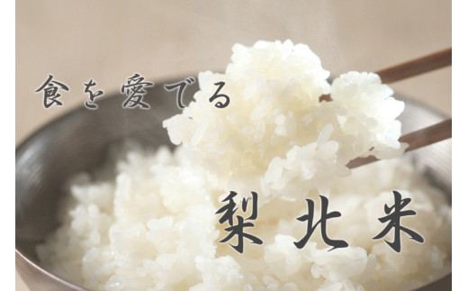 【定期便】【12回 米 定期便 】 武川米 コシヒカリ 5kg×12回 総計60kg [梨北農業協同組合 山梨県 韮崎市 20743673] こしひかり お米 おこめ こめ コメ 精米 60キロ ご飯 ごはん 白米 国産 JA梨北