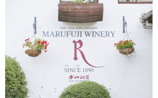 赤ワイン ルバイヤート マスカットベーリー A樽貯蔵 720ml 1本 [マツムラ酒販 山梨県 韮崎市 20744978] ワイン 赤 山梨 お酒 酒 わいん Wine