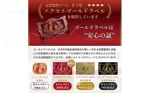 【春夏用】洗える 羽毛 肌掛け布団 ダブル ホワイトダックダウン 85% 0.6kg (無地 ネイビー) [川村羽毛 山梨県 韮崎市 20745030] 掛け布団 布団 羽毛布団 ダウンケット ふとん 肌掛け ダウンケット 寝具 コインランドリー