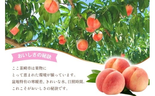 【2026年発送】訳あり 桃 もも 白鳳 or 白桃 3号 約2.2kg (6～10玉) モモ 果物 フルーツ 山梨 期間限定 季節限定 冷蔵 農福連携 [斎庵 山梨県 韮崎市 20745277]