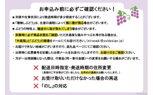 【2026年発送】ぶどう 訳あり 約 1.2kg 食べ比べ 山梨 やまなし ブドウ 季節 葡萄 贈り物 品種 おまかせ フルーツ 果物 くだもの 山梨県産 期間限定 季節限定 冷蔵 [斎庵 山梨県 韮崎市 20745283]