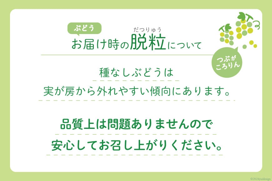 2025年発送】山梨県産 シャインマスカット3〜5房 (2.2kg以上) [斎庵 山梨県 韮崎市 20742804] シャインマスカット フルーツ  果物 くだもの マスカット シャイン ブドウ ぶどう 葡萄 種無し 山梨県産 期間限定 季節限定 冷蔵: 韮崎市ANAのふるさと納税