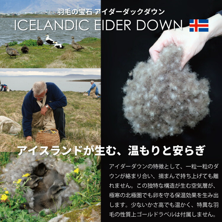 【冬用】アイダーダウン 羽毛布団 本掛け シングル アイダーダック ダウン98％ アイスランド産 ジャカードサテン 日本製 綿100％ ジャガード [川村羽毛 山梨県 韮崎市 20743073] 布団 ふとん 羽毛ふとん 寝具