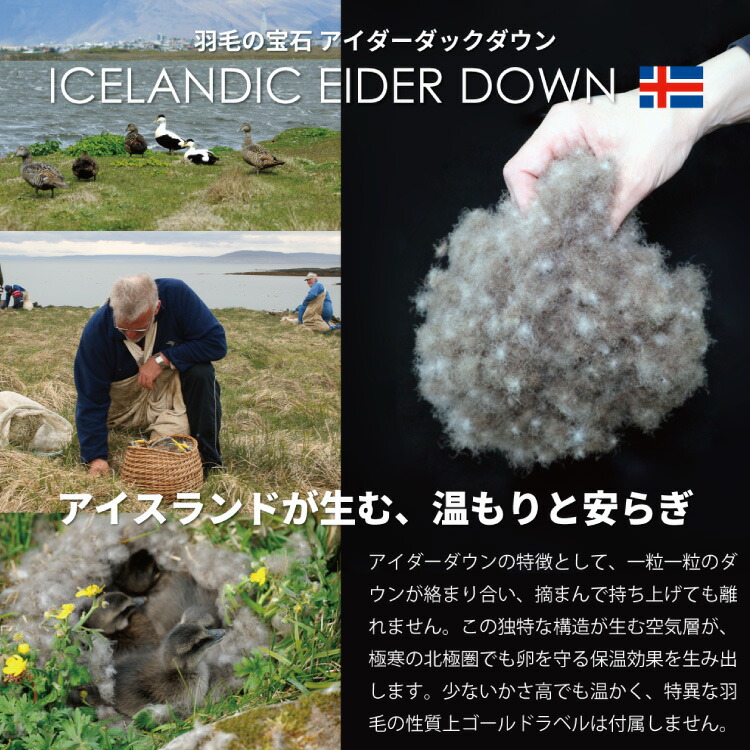 【中厚】アイダーダウン 羽毛布団 合掛け シングル アイダーダック ダウン98％ アイスランド産 ジャカードサテン 日本製 綿100％ ジャガード [川村羽毛 山梨県 韮崎市 20743074] 布団 ふとん 羽毛ふとん 寝具