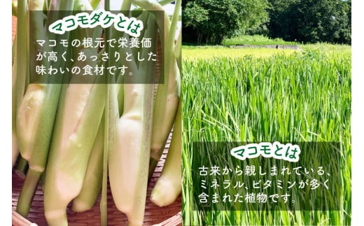 マコモ体験チケット（6,000円分）田植え 収穫 マコモ料理 手仕事体験 [マコモ農園さんさん 山梨県 韮崎市 20742713] 体験 子ども 子供 まこも 真菰 マコモ 真菰茶 まこも茶 マコモ茶 マコモダケ 体験型