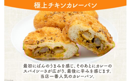 カレーパン4種 (計8個) 麹 自然 天然培養酵母パン 個包装 本格インドカレー 天然スパイス [天然培養酵母パン Blooming Bakery 山梨県 韮崎市 20742956] カレーパン パン ぱん 冷凍 詰め合わせ 天然酵母