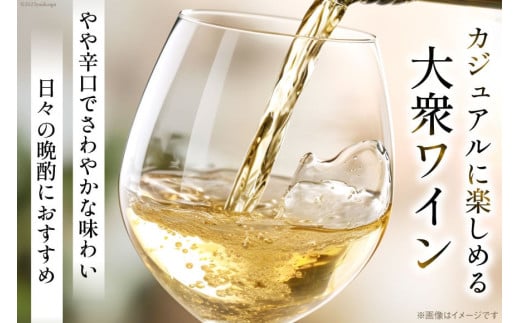 ワイン 白ワイン 白 葡萄の宴 山梨県 名物 一升瓶 ワイン 1,800ml 6本 セットやや辛口 辛口 一升瓶 1.8L 6本 山梨 晩酌 葡萄酒 業務用 パーティー 家飲み 10L以上 [サン.フーズ 山梨県 韮崎市 20743109]