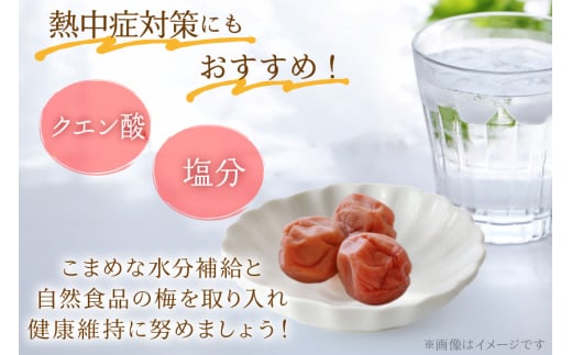 【箸が止まらない】はちみつ風味 干し小梅 200g×3 [山梨農産食品 山梨県 韮崎市 20743184] 梅干し 梅干 うめぼし 梅 小粒 小梅 国産 はちみつ