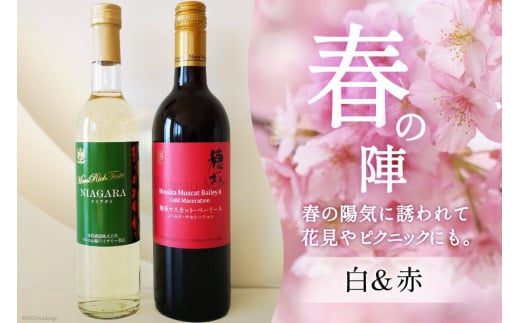 定期便 ワイン ソムリエ おまかせ 2本セット×4回 [マルス穂坂ワイナリー 山梨県 韮崎市 20743306]