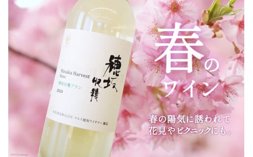 ワイン 定期便 12回 マルスセレクト毎月お届け / 本坊酒造 マルス穂坂ワイナリー / 山梨県 韮崎市 [20743307] おまかせ