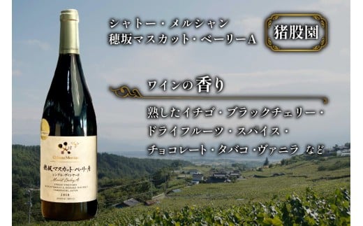 定期便 ワイン セット 穂坂マスカット・ベーリーＡ シングル・ヴィンヤード 750ml×2種×12回 酒 ワイン 赤ワイン / シャトー・メルシャン 勝沼ワイナリー / 山梨県 韮崎市 [20743314]