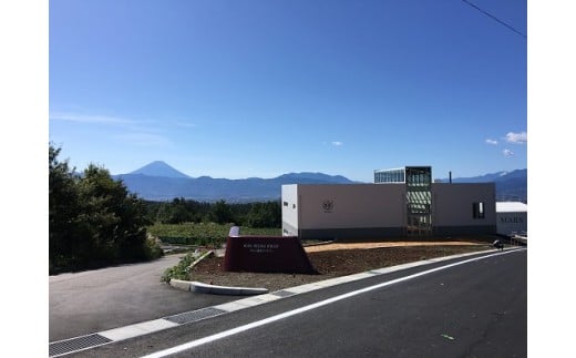 コーヒー 豆 100g×2種&オリジナル缶セット [本坊酒造 マルス穂坂ワイナリー 山梨県 韮崎市 20743356] 珈琲 食品 缶