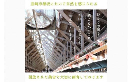 こだわり卵 穂坂のももたま 10個×3 計30個 [ハイチック 山梨県 韮崎市 20743393] 卵 たまご エコパック ももいろ ピンク かわいい