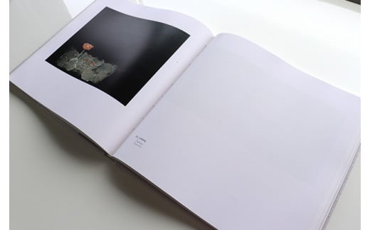 韮崎大村美術館入場券1枚＋画集「荘司福」1冊 [韮崎大村美術館 山梨県 韮崎市 20743396]