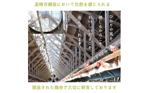 【6回 定期便 】こだわり卵 穂坂のももたま 30個×6回 総計180個 [ハイチック 山梨県 韮崎市 20743399] 卵 たまご エコパック ももいろ ピンク かわいい