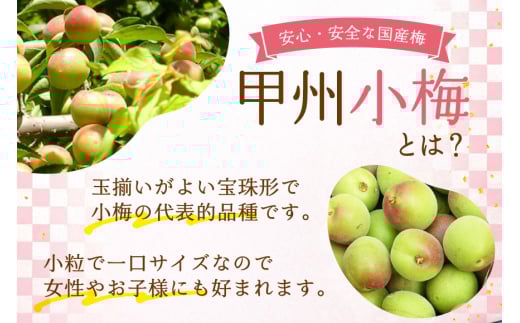 【やばいだろ】粋な小梅 30粒×15 計450粒 [山梨農産食品 山梨県 韮崎市 20743417] 梅干し 梅干 うめぼし 梅 小粒 小梅 カリカリ梅 国産 個包装