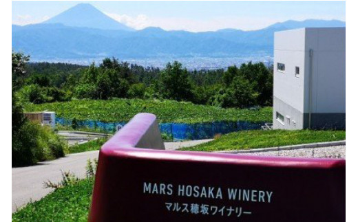 マルスワインシルバー 赤 ミディアムボディ 一升瓶 1.8L×1 [本坊酒造 マルス穂坂ワイナリー 山梨県 韮崎市 20743449] ワイン 赤ワイン