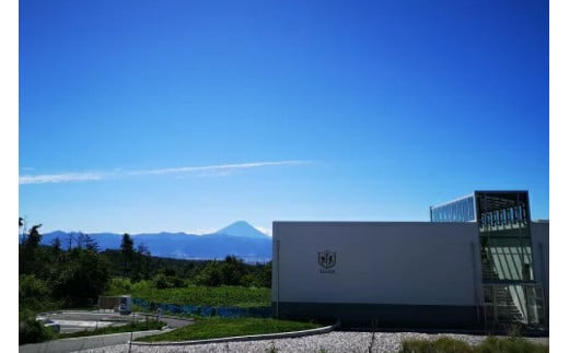 マルスワインシルバー 赤 ミディアムボディ 一升瓶 1.8L×3 [本坊酒造 マルス穂坂ワイナリー 山梨県 韮崎市 20743451] ワイン 赤ワイン ワインセット