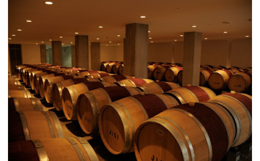 定期便 スパークリングワイン ロゼ 「日本のあわ」720ml×12回 [シャトー・メルシャン 勝沼ワイナリー 山梨県 韮崎市 20743480] ワイン 酒 お酒