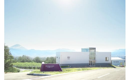 ワイン ソムリエセレクト 赤ワイン 4本 セット [本坊酒造 マルス穂坂ワイナリー 山梨県 韮崎市 20743505] 果実酒 ワインセット赤 飲み比べ シャトーマルス ソムリエ 山梨