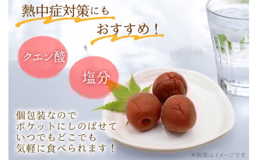 梅干し 粋な小梅ポット 60個入 & 梅恋しポット 30個入 [山梨農産食品 山梨県 韮崎市 20743522] 梅干 うめぼし 個包装 食べ比べ 梅 漬物 つけもの おやつ  おつまみ 熱中症予防