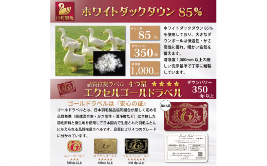 【春秋用】 中厚 羽毛 合掛け 布団 シングル ホワイトダックダウン 85％ 0.8kg (無地 アイボリー)  [川村羽毛 山梨県 韮崎市 20743639] 羽毛布団 日本製 エクセルゴールドラベル