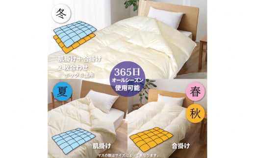 【オールシーズン】羽毛布団 2枚合わせ 肌掛け ＆ 合掛け セミダブル マザーグースダウン 95％ ポーランド産 1.3kg 100×140番手 サテン グランミュゼ (無地 アイボリー) [川村羽毛 山梨県 韮崎市 20743650] 布団