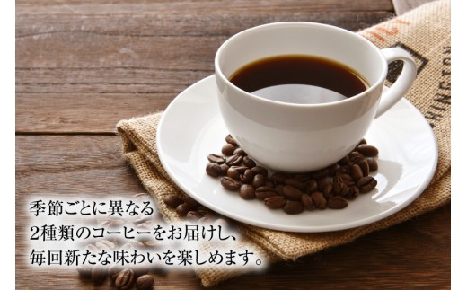 12回 定期便 自家焙煎 スペシャルティコーヒー 季節のギフトセット 200g 2種類 総計4.8kg 【挽き】 [アフターゲームカフェ 山梨県 韮崎市 20743930] コーヒー 珈琲 挽き 詰め合わせ セット 飲み比べ