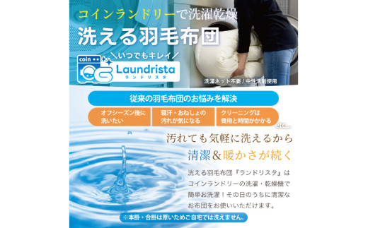 【春夏用】洗える 羽毛 肌掛け布団 ダブル ホワイトダックダウン 85% 0.6kg (無地 ブラウン) [川村羽毛 山梨県 韮崎市 20745029] 掛け布団 布団 羽毛布団 ダウンケット ふとん 肌掛け ダウンケット 寝具 コインランドリー