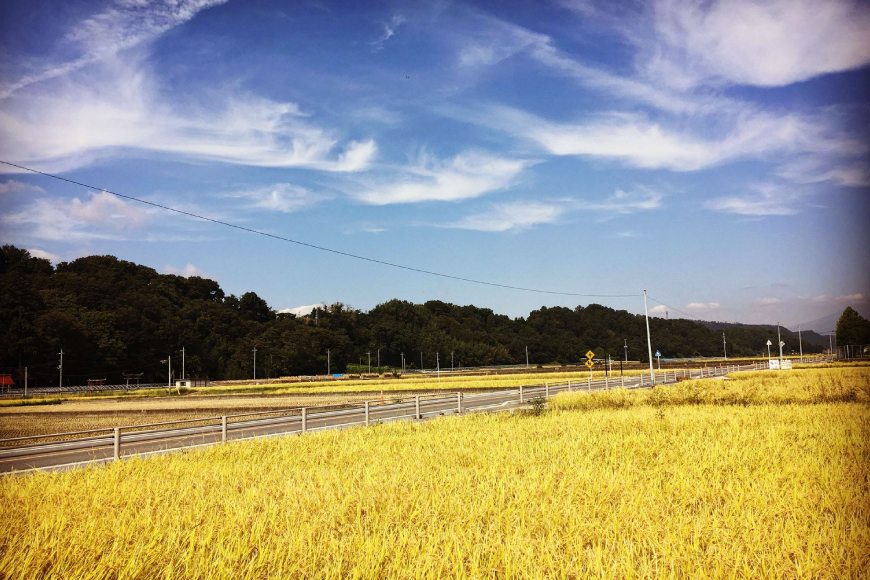 【年間定期便】 八ヶ岳珈琲 スペシャルティコーヒー 粉 100g 5種類 計500g 12ヶ月 [アフターゲームカフェ 山梨県 韮崎市 20745264] 珈琲 コーヒー コーヒー粉 珈琲豆 自家焙煎 焙煎 定期便