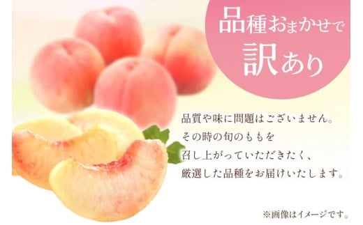 【2026年発送】訳あり 桃 もも 白鳳 or 白桃 3号 約2.2kg (6～10玉) モモ 果物 フルーツ 山梨 期間限定 季節限定 冷蔵 農福連携 [斎庵 山梨県 韮崎市 20745277]