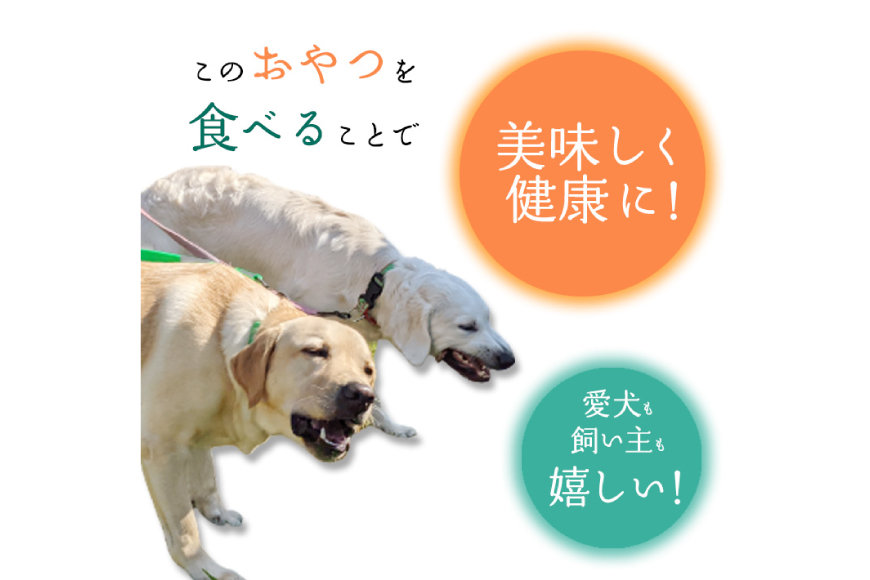 ドッグフード 無添加 FUJIDOG さつまいも入り鹿肉チップス100g [FUJIDOG 山梨県 韮崎市 20745303] 高タンパク 低脂肪 10%以下 低脂質 犬のおやつ 犬の餌 国産 餌 エサ