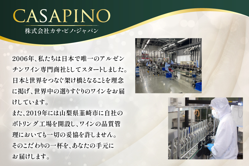 ワイン 白 ブリサ・アンディーナ ソーヴィニヨンブラン 500ml 12本 セット [カサ・ピノ・ジャパン 山梨県 韮崎市 20745345] ワインセット 山梨 酒 お酒 白ワイン アルコール ぶどう 果実酒
