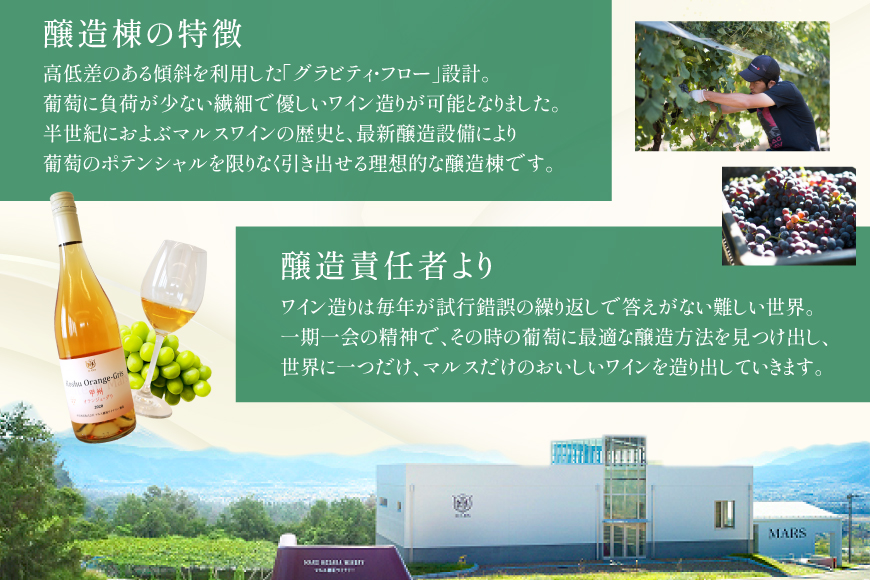 【JWC2022銀賞受賞】 ワイン 白 やや辛口 甲州オランジュ･グリ 750ml [本坊酒造 マルス穂坂ワイナリー 山梨県 韮崎市 20743120] 甲州 オレンジワイン 白ワイン