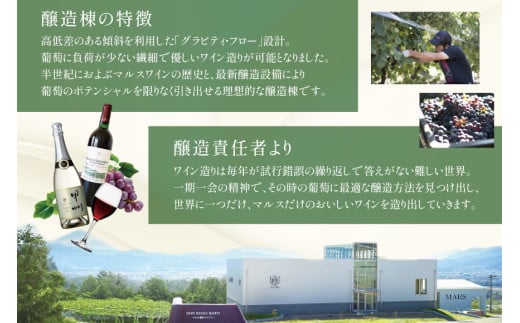 ワイン 赤 スパークリング おまかせ マルスワイン2本セット ～冬の陣～ / 本坊酒造 マルス穂坂ワイナリー / 山梨県 韮崎市 [20742335] 赤ワイン スパークリングワイン 長期熟成