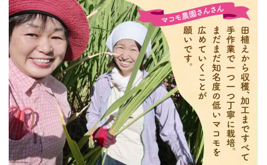 マコモ体験チケット（6,000円分）田植え 収穫 マコモ料理 手仕事体験 [マコモ農園さんさん 山梨県 韮崎市 20742713] 体験 子ども 子供 まこも 真菰 マコモ 真菰茶 まこも茶 マコモ茶 マコモダケ 体験型